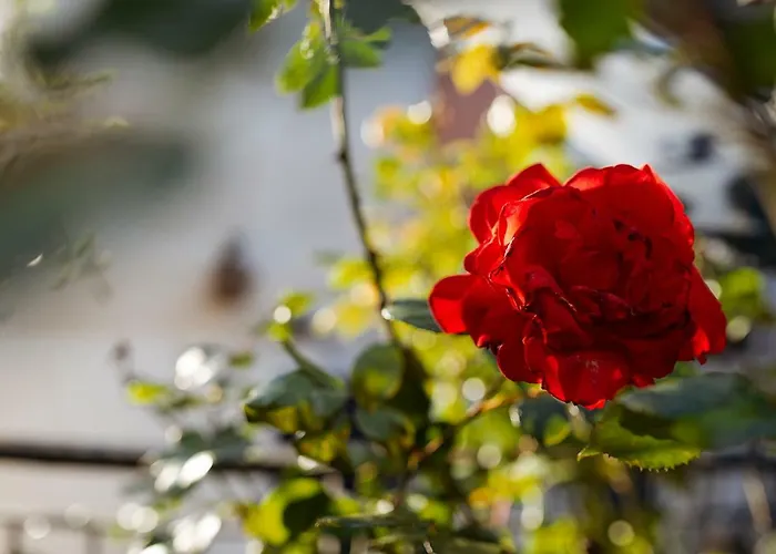 Anxur Bed & Breakfast Terracina